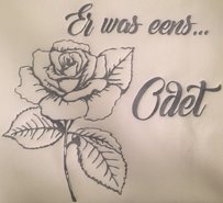 Foto borduring /embroidery