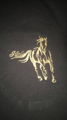 Voorbeelden Borduring / embroidery